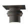 Twilight 1 - Bulb Hardwired Outdoor Semi Flush Mount