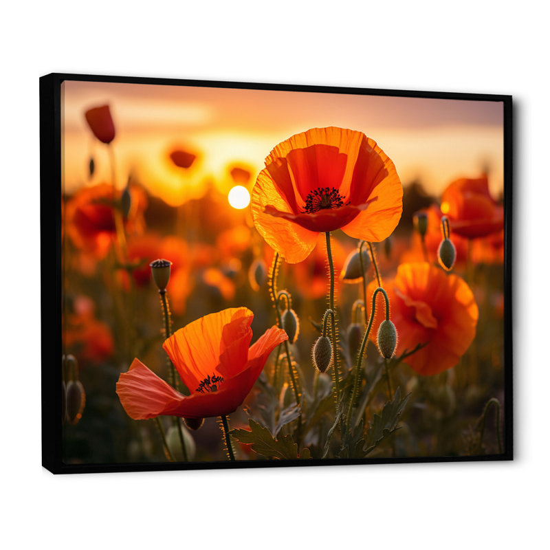 «Red Poppies Field With Sunset I», reproduction sur toile, Cadre flottant noir, H 16 po x l 32 po x P 1 po