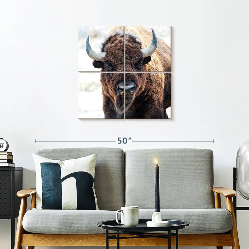 Bison d'Amérique - un trésor national, H 26 po x l 26 po
