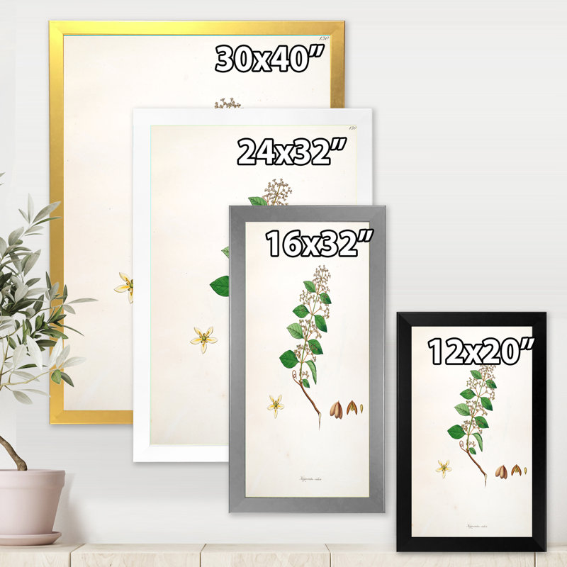 Vintage Botanicals I - peinture sur toile, H 20 po x l 12 po x P 1po, Cadre doré