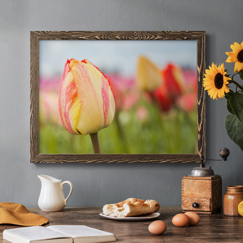 Spring Sherbet - reproduction de photo sur toile, H 18 po x l 26 po, Noyer