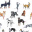 Dog Days - Wallpaper-544389414-544389413-536905740