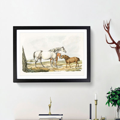 Two Horses & a Pony by Henry Alken - Picture Frame Painting Print