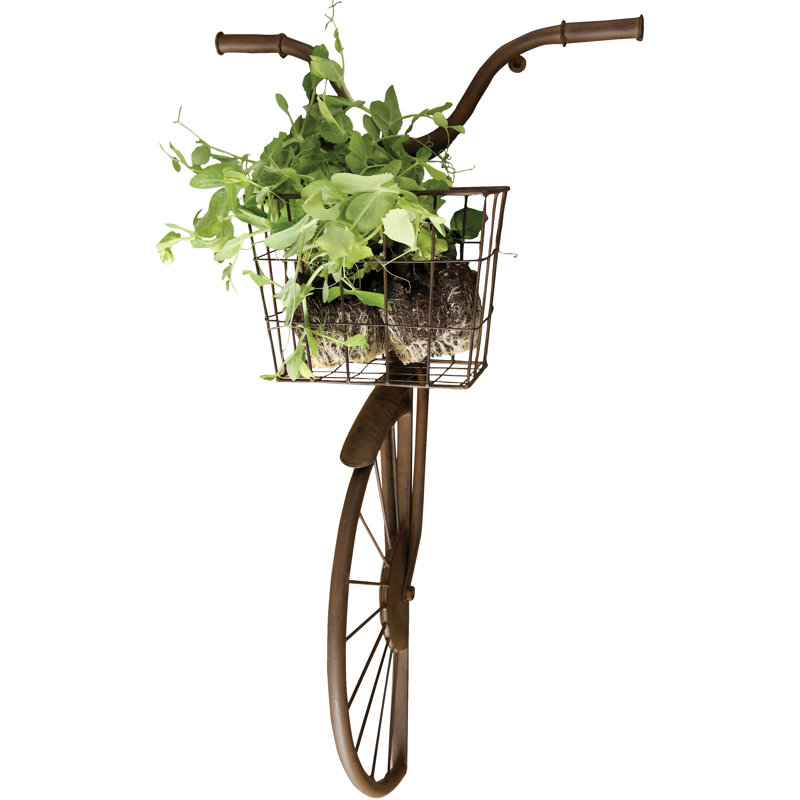 Décoration murale en métal rouillé vieilli en forme de vélo avec panier, Brun