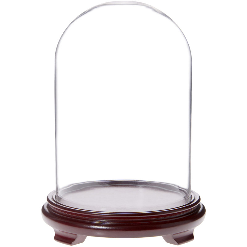Cloche à dôme en verre 8 po x 12 po Keiser, Base en placage de bois rouge