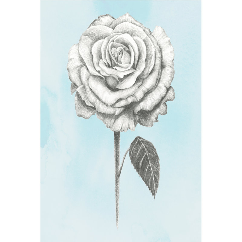 Graphite Rose III by Grace Popp - Wrapped Canvas Print, 46cm H x 30cm W
