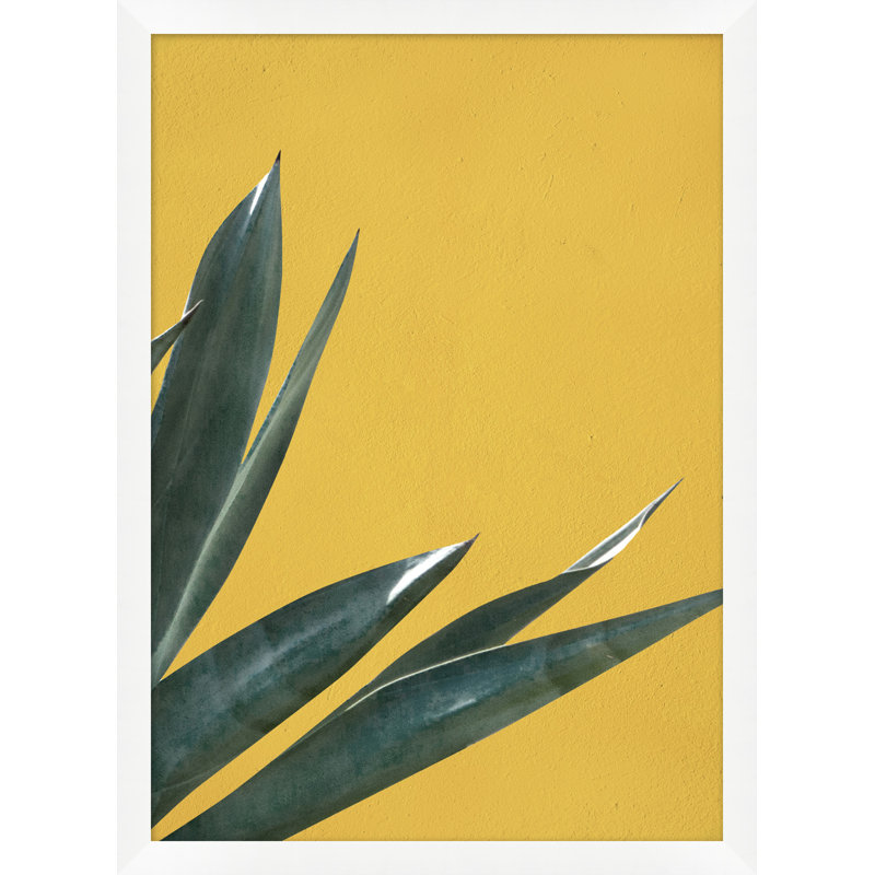 Agave Color 4 Print by Nathan Turner