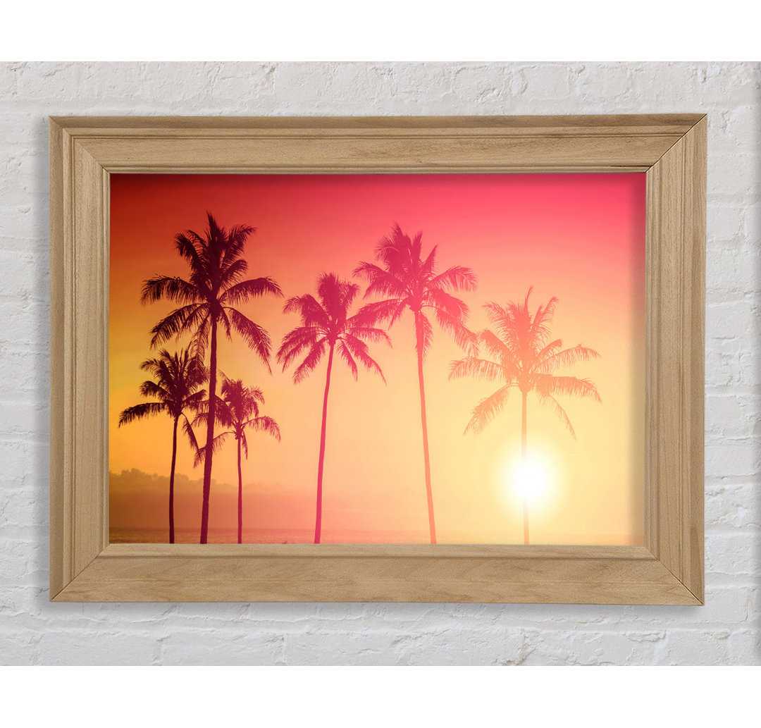 Palm Tree Haze Gerahmter Druck