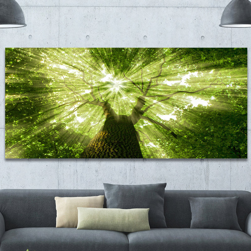 Sunlight Peeking Through Green Tree - impression d'art graphique, H 30 po x l 40 po x 1,5 po, Toile tendue