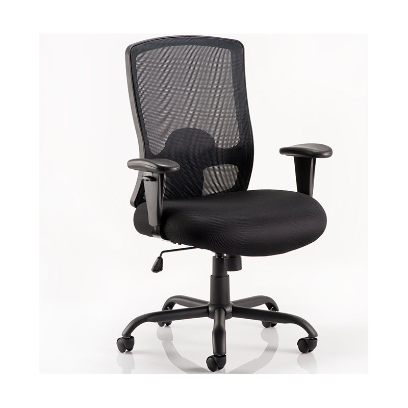 Riondet Polyester Blend Office Chair