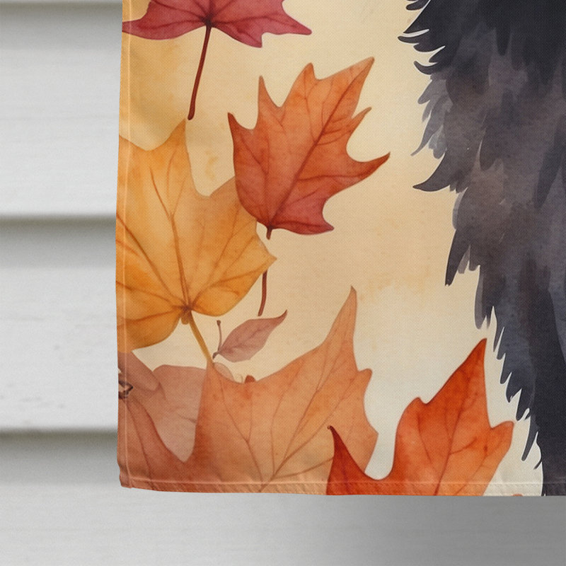 Chat en feuilles d'automne, Lykoi