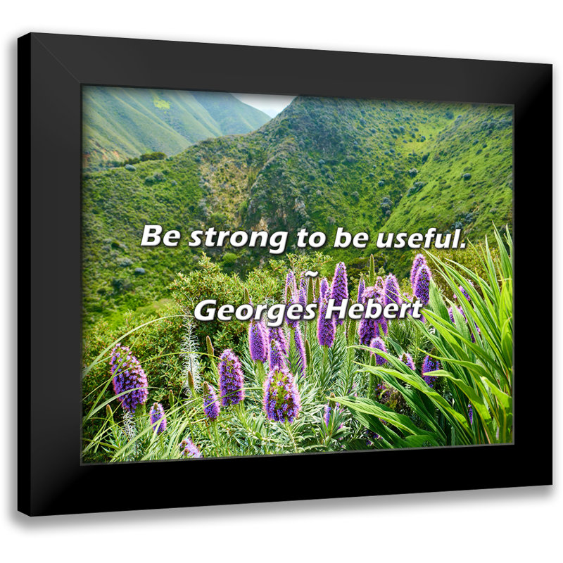 Georges Hebert Quote: Be strong to be useful.