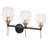 3-Light Modern Vanity Light
