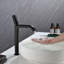 Robinet de lavabo vasque à poignée simple-95753524