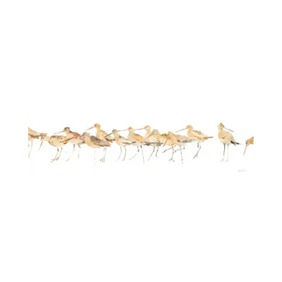 Watercolor Sandpipers- Gallery-Wrapped Canvas Giclée