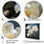 Beige Whispers Of Peony V sur toile-691465674-691465673