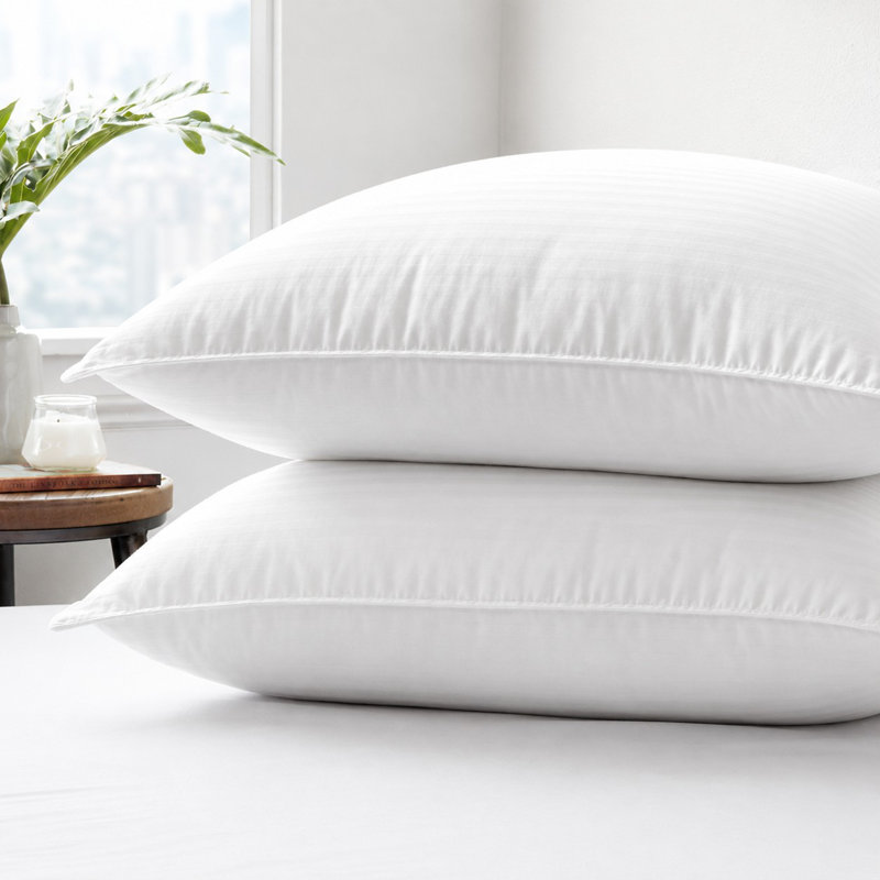 Oreillers en gel Sleep by Wayfair ™, Grand oreiller 20 po x 28 po
