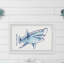 «Shark Outline», reproduction encadrée-50107399