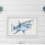 «Shark Outline», reproduction encadrée-50107402