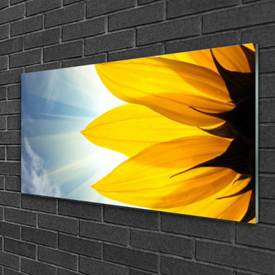 Glass Print Wall Art 100X50cm Image Printed On Glass Decorative Wall Picture Behind Toughened / Tempered Safety Real Glass For Kitchen & Living Room Theme: Petals Floral