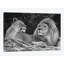 «Love», impression sur toile tendue-29053557-72799286-72799278