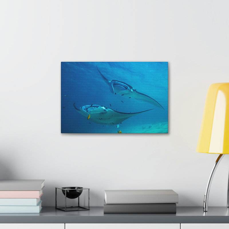 No Frame Print on Canvas, 11cm H x 14cm W