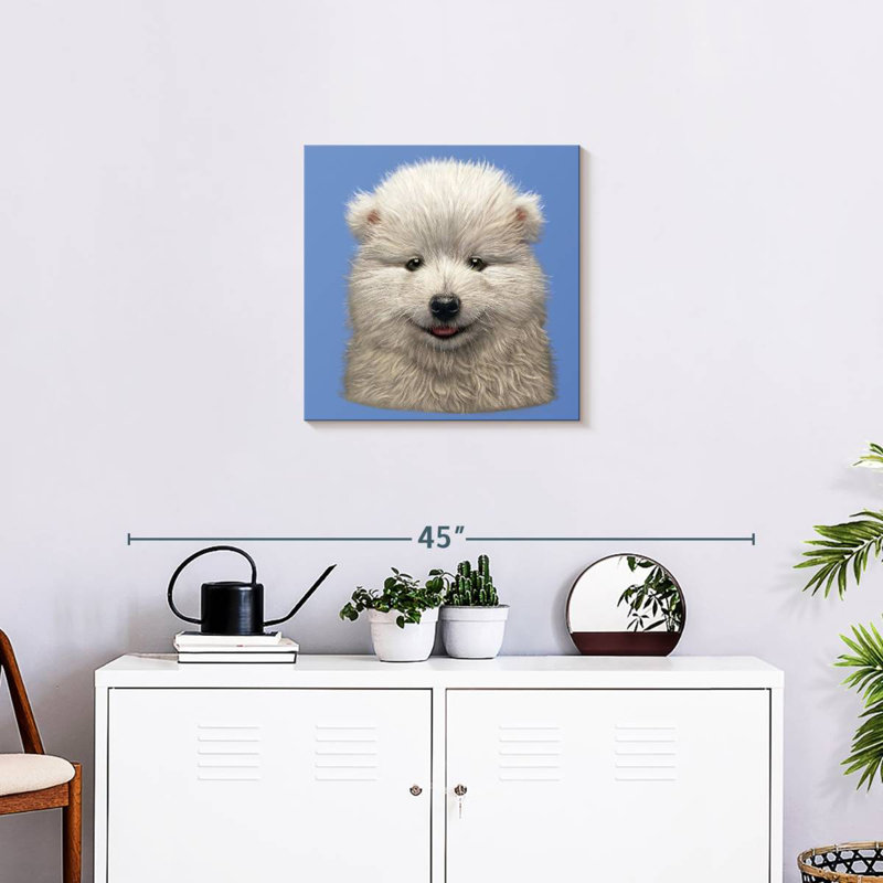 Chiot Brampt Samoyède, H 20 po x l 20 po
