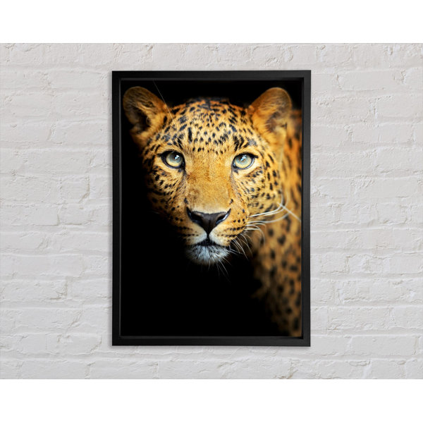 Bright Star Leopard Beauty - Single Picture Frame Art Prints on Canvas ...