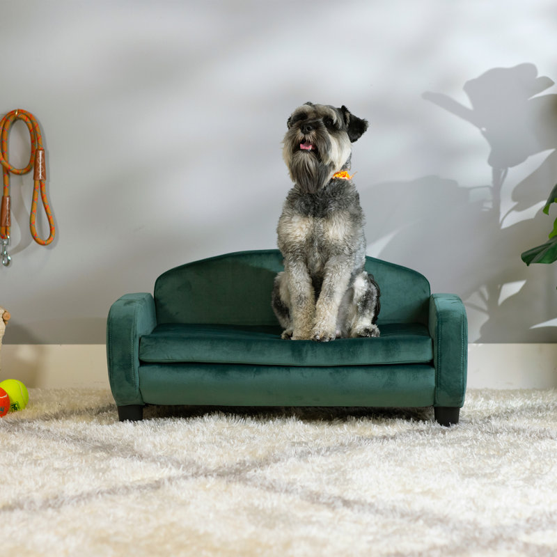 Hymel Polyester Pet Bed, Teal Green, Small (31.5" W x 19.5" D x 15.5" H)