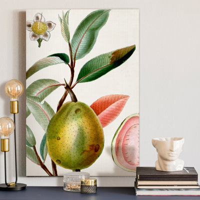 " Turpin Tropical Fruit IX "
