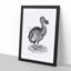 Dodo in Black and White by George Shaw - Framed Print-55545831-55545833