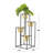 Metal Plant Stand