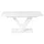 Torri Extendable Dining Table