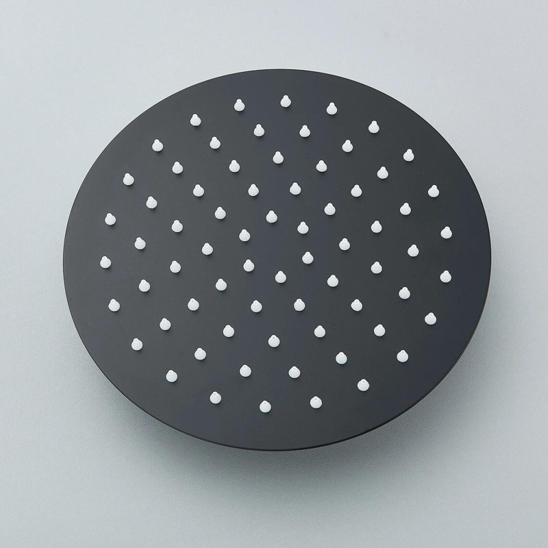 Douchette en acier inoxydable noire