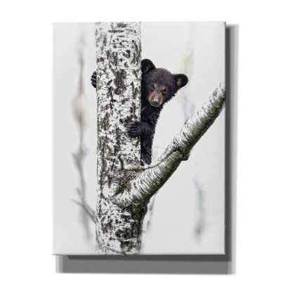 «Bears at Play V» par PH Burchett, art mural sur toile