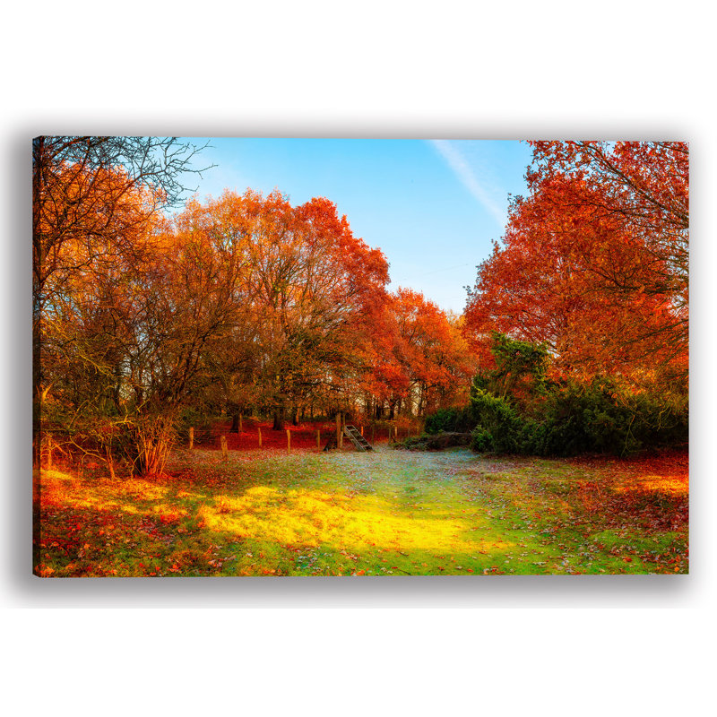 " Fall Forest ", 24" H x 36" W x 1.5" D