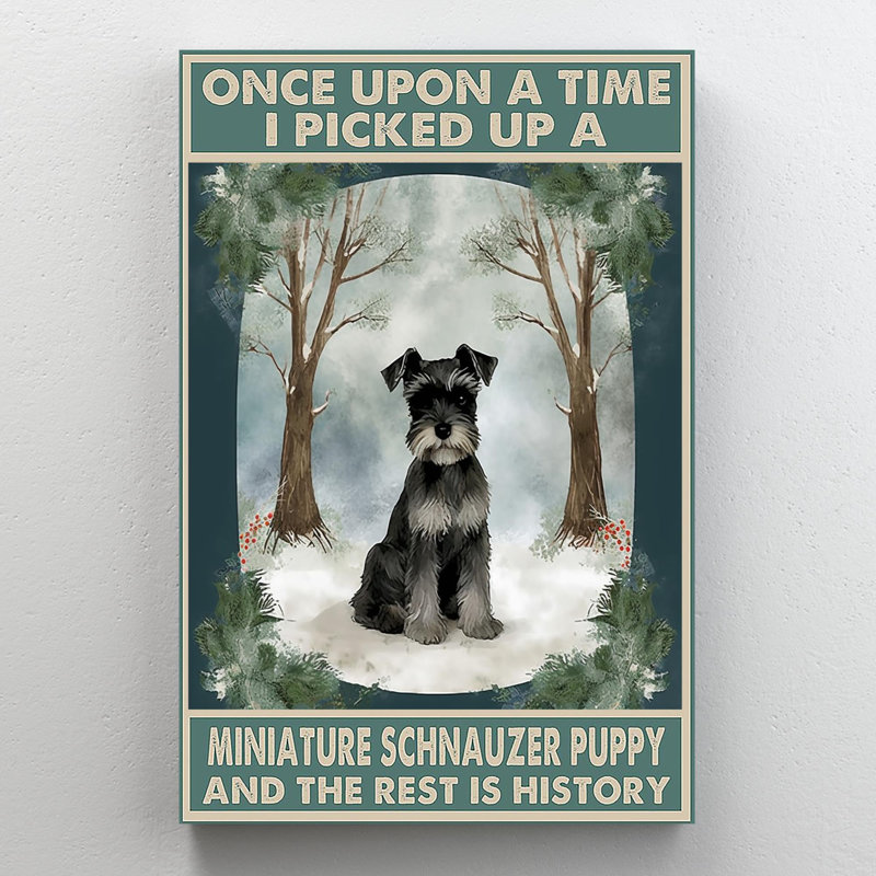 I Picked Up A Miniature Schnauzer, H 20 po x l 16 po x P 1,25 po