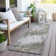Lummus Abstract Indoor Rug