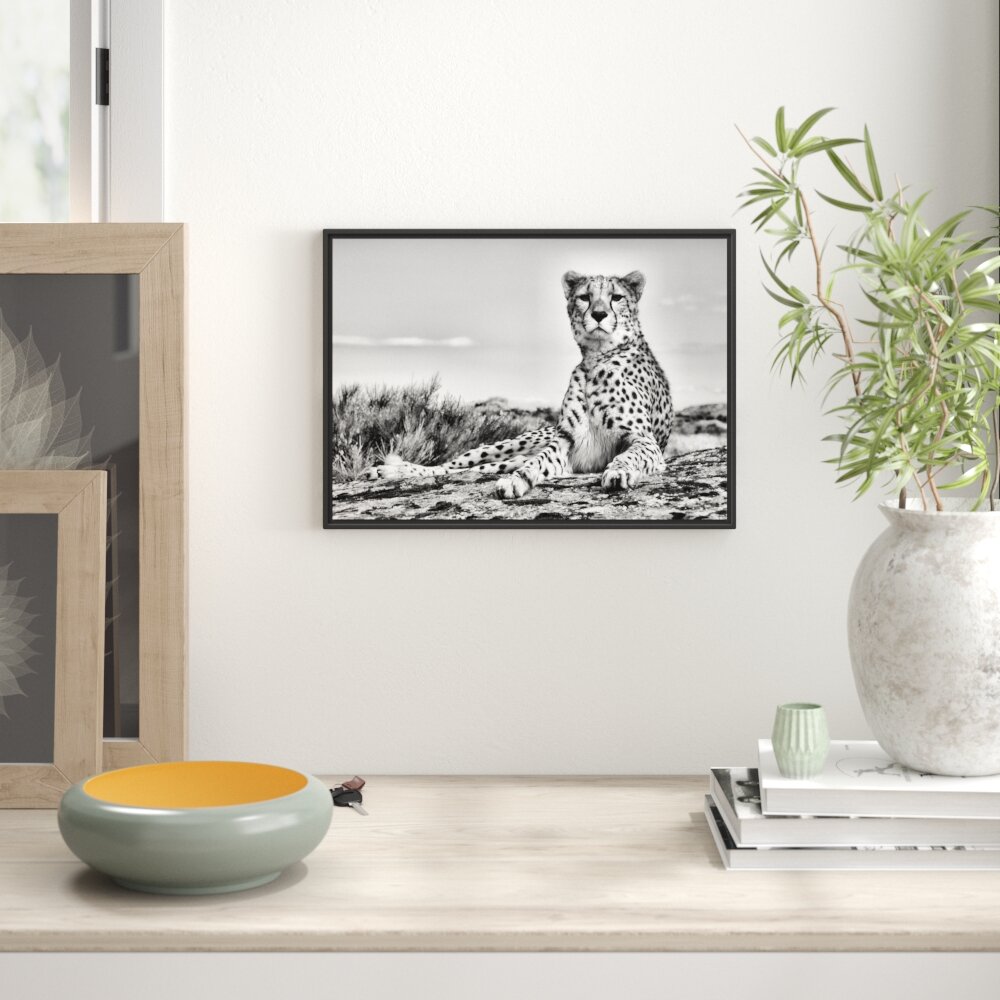 Gerahmtes Wandbild Gepard in Savanne