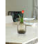 Ensemble de 4 vases en verre Orren Ellis Orren-1122858547-1122858556