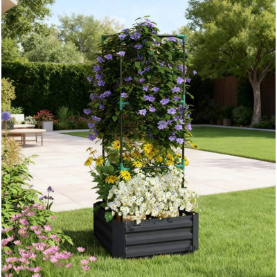 Lit de jardin surélevé, lit de jardin, jardinière galvanisée avec cage pour vignes grimpantes