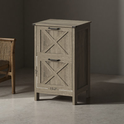 File Cabinet With 2 Drawers, Rustic Farmhouse Office Storage Cabinet