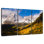 Alvord Maroon Bells Aspe