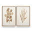 Ensemble d'impressions de feuilles brun clair - ensemble de 2-1532377229-1532377220