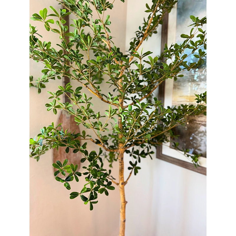 Faux Foliage Tree, 68 (in) x 15 (in)