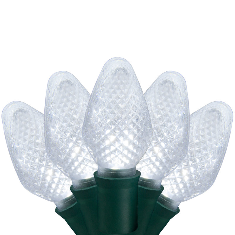 C7 Christmas 25-Light LED String Light, Cool White