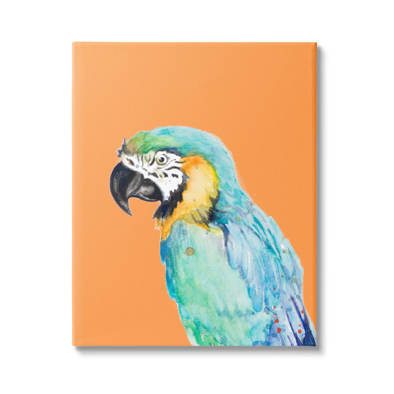 Perroquet aras tropical, Toile tendue, H 20 po x l 16 po x P 1,5 po