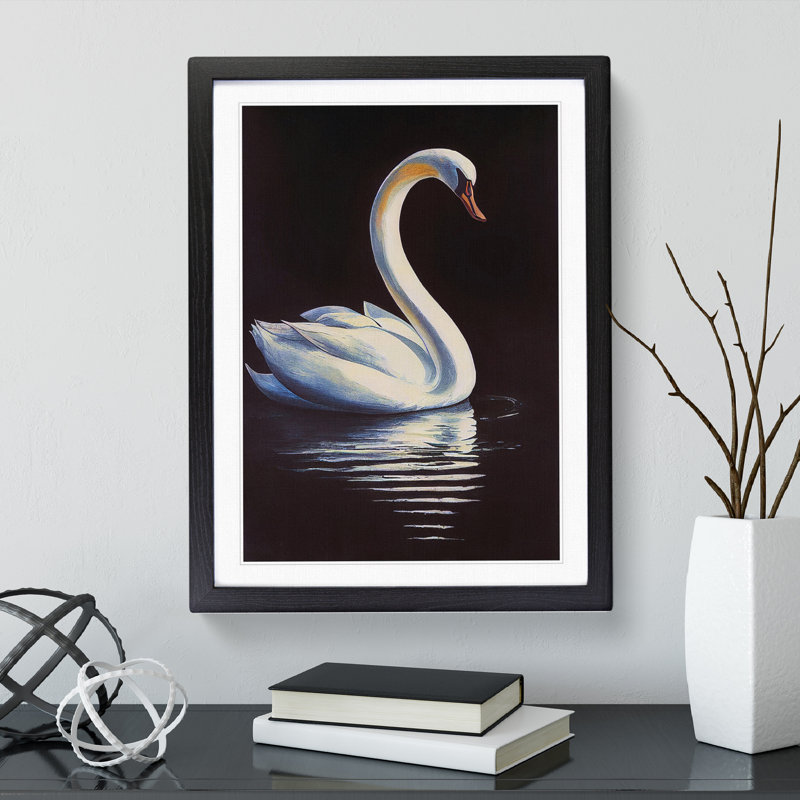 Swan In A Pond No.2 - Single Picture Frame Print, 64cm H x 46cm W x 2cm D, Black Framed