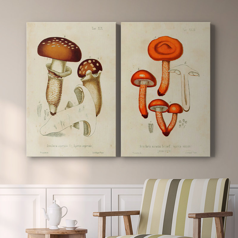 Mushroom Varieties III-Premium Gallery Wrapped Canvas -Ready to Hang