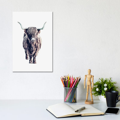 Highland Cattle Colin White by Monika Strigel - Wrapped Canvas Print